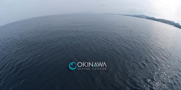 20110414-odc7