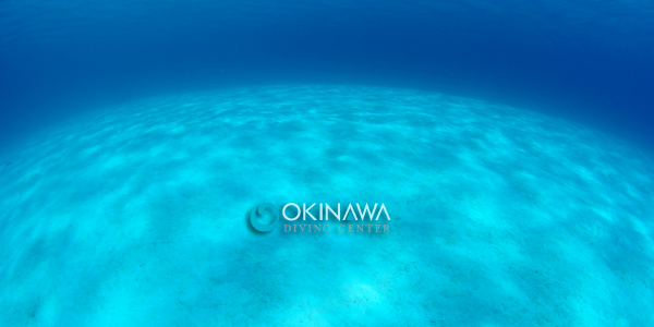 20110408-odc3