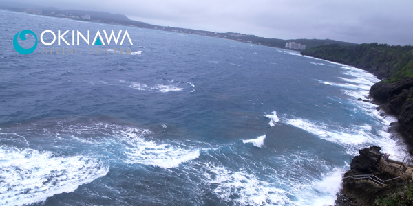 Exif_JPEG_PICTURE 沖縄 ダイビング