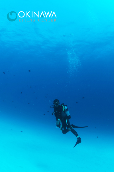 水納島 ダイビング