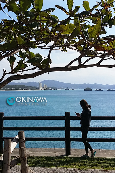 沖縄本島 ダイビング