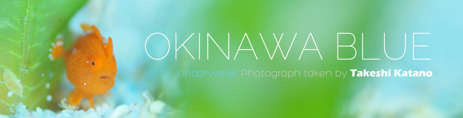 OKINAWA COLOR