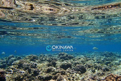 水面