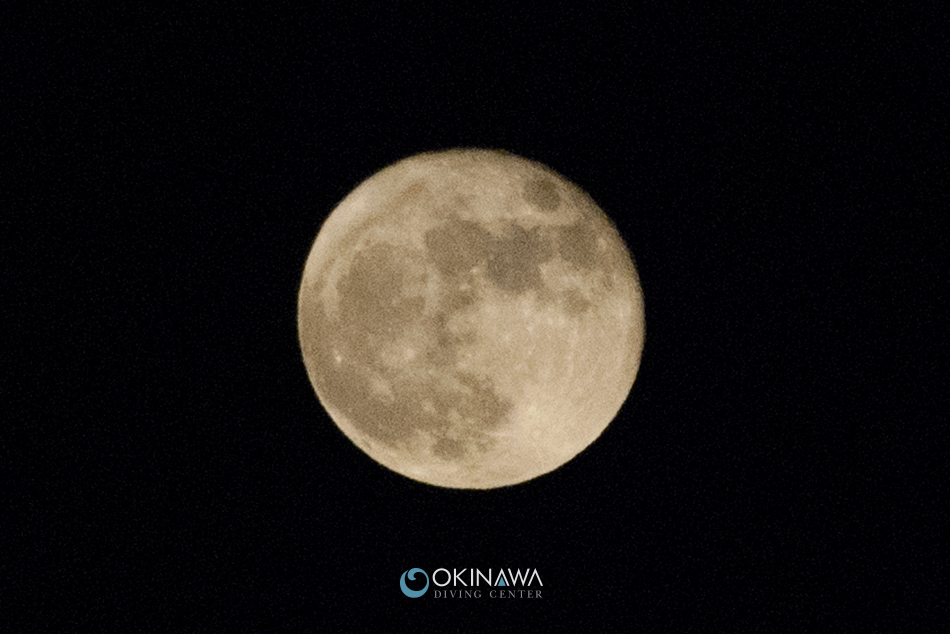 十三夜