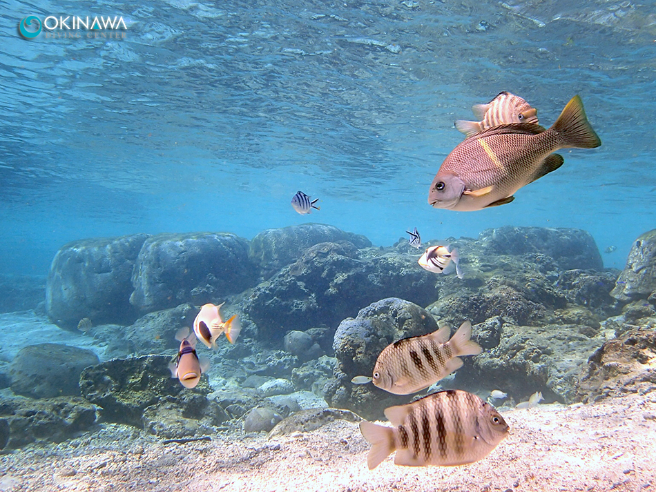 裏真栄田ビーチ