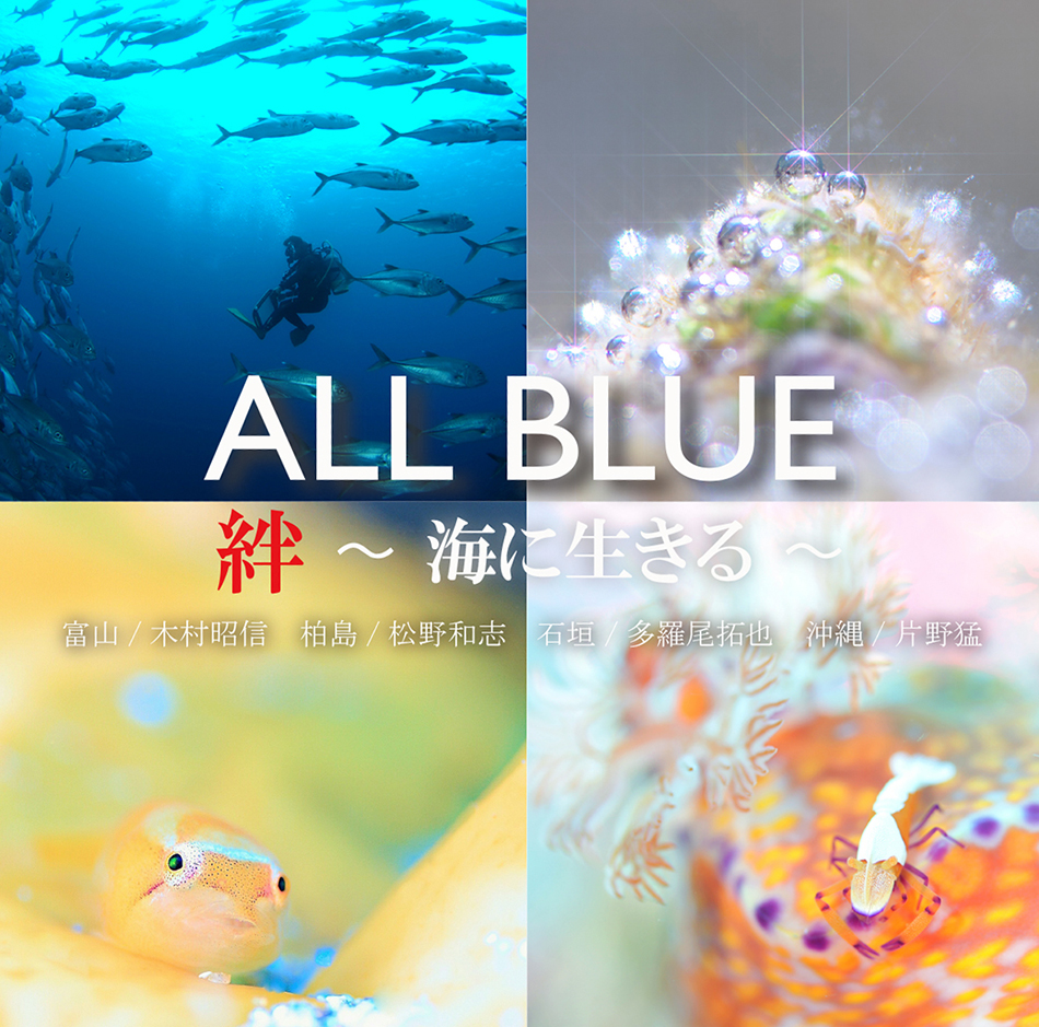 ALLBLUE 2017